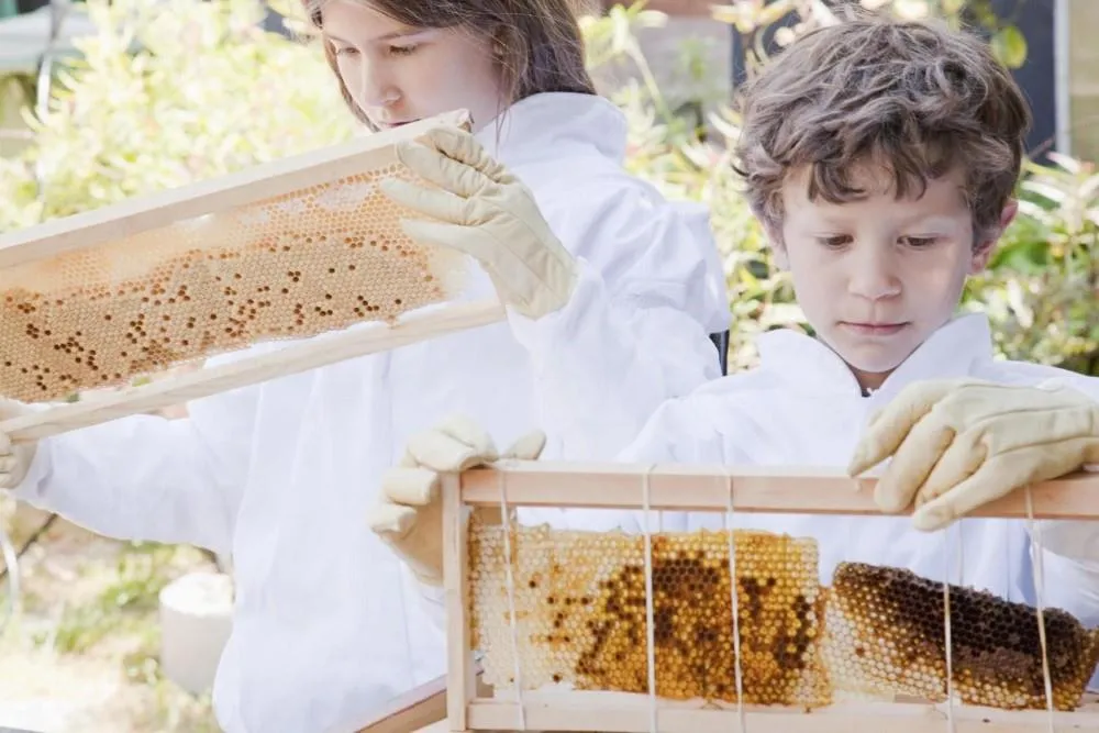 beekeeper