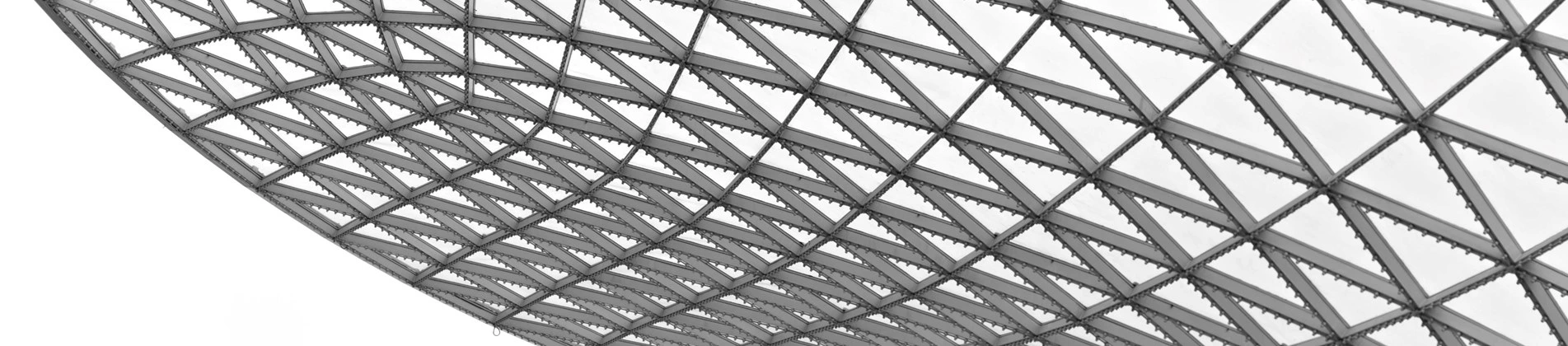 Metal net